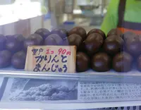 道の駅キラメッセ室戸の写真・動画_image_46395