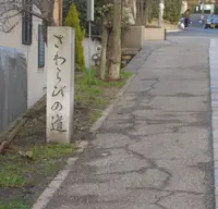 さわらびの道の写真・動画_image_293390