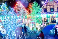 東京ドイツ村の写真・動画_image_55799