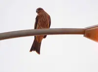海にやって来ましたの写真・動画_image_17643