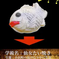 小浜温泉 湯けむりやの写真・動画_image_92775