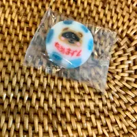 たぬきすしの写真・動画_image_357368