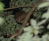 上野原市の写真・動画_image_54177