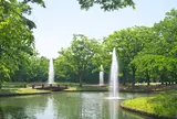 代々木公園