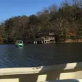 宝ヶ池公園の写真_108840