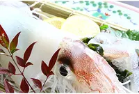 角島の写真・動画_image_90281