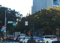 表参道の写真・動画_image_512434