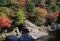 尾前渓谷の写真・動画_image_635034