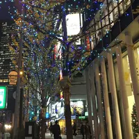 御堂筋の写真・動画_image_207098
