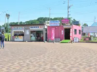 余市町の写真・動画_image_431714