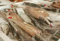道の駅キラメッセ室戸の写真・動画_image_46396