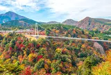 九重“夢”大吊橋