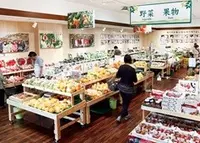 柿の郷くどやまの写真・動画_image_69217