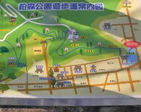 橿森公園の写真・動画_image_29117