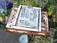 ムギマル2（mugimaru2）の写真・動画_image_16927