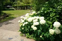 旧河野邸の写真・動画_image_309917