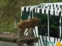 東京都多摩動物公園の写真・動画_image_16974