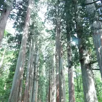 戸隠神社奥社の写真・動画_image_542229