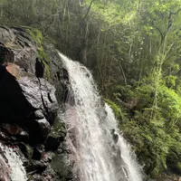 鶏鳴の滝の写真・動画_image_566482