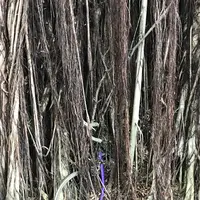 台中文学館の写真・動画_image_607211