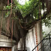 緑光計画範特喜文創聚落の写真・動画_image_607222