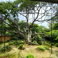 宝泉院の写真・動画_image_365526