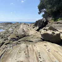 竜串海岸の写真・動画_image_1029130