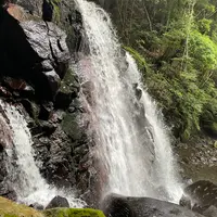 鶏鳴の滝の写真・動画_image_1243033