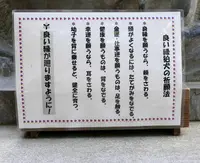 日光二荒山神社の写真・動画_image_199485