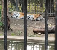帯広動物園の写真・動画_image_437232