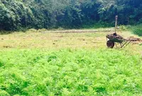 山都町矢部地域の写真・動画_image_56998