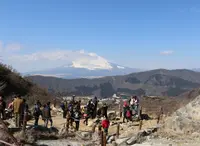 大涌谷温泉の写真・動画_image_24045