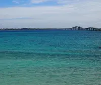 伊良部大橋の写真・動画_image_52893