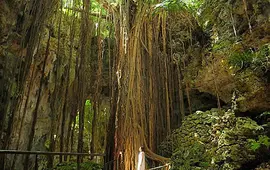 沖縄本島南部の旅