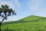 一目山