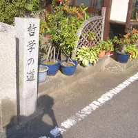 哲学の道の写真・動画_image_293244