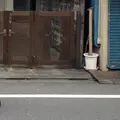 上十条２丁目２７−９の写真_134216