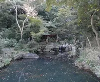 六義園の写真・動画_image_50817