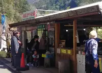 川売の梅の写真・動画_image_68314