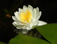 十輪寺の写真・動画_image_79107