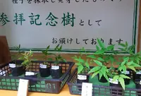 大神神社の写真・動画_image_76045