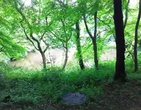 勝持寺の写真・動画_image_78626