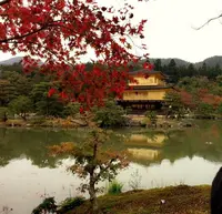 金閣寺（鹿苑寺）の写真・動画_image_210050