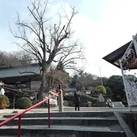吉備津神社の写真・動画_image_125394
