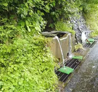 川浦渓谷の写真・動画_image_91185