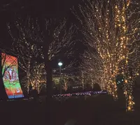 ロームイルミネーションの写真・動画_image_107298