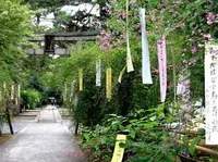 梨木神社の写真・動画_image_72419
