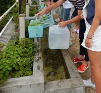別府弁天池の写真・動画_image_89670