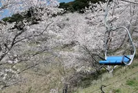 いきいきふれあいランドの写真・動画_image_897784