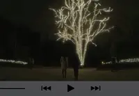 京都府立植物園の写真・動画_image_108843